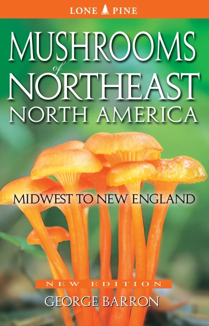 Mushrooms Of Northeast North America: Midwest To New England
