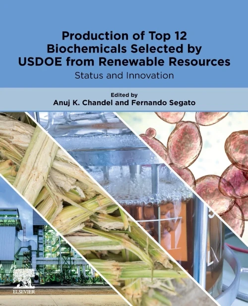 Production Of Top 12 Biochemicals Selected By Usdoe From Renewable Resources: Status And Innovation