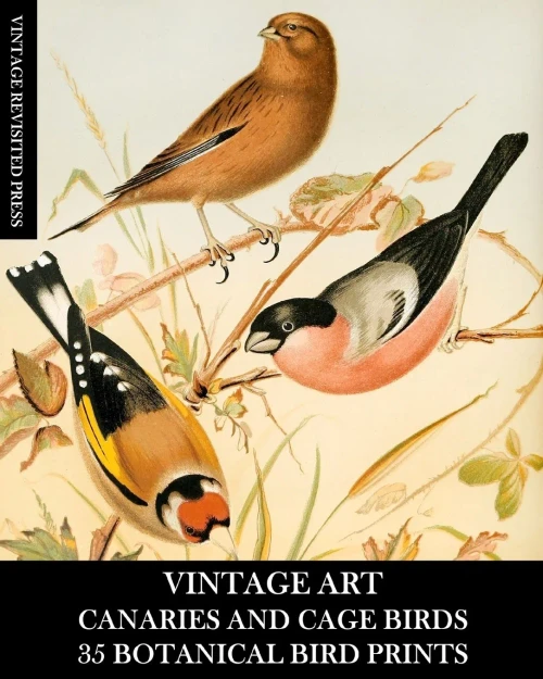 Vintage Art: Canaries And Cage Birds 35 Botanical Prints: Ephemera For Framing, Decoupage, And Mixed Media