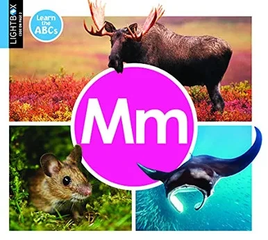 Mm