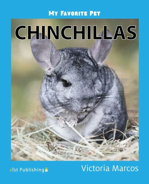 My Favorite Pet: Chinchillas