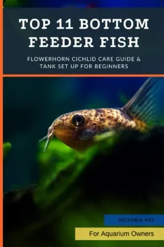 Top 11 Bottom Feeder Fish: Best Tank Cleaners
