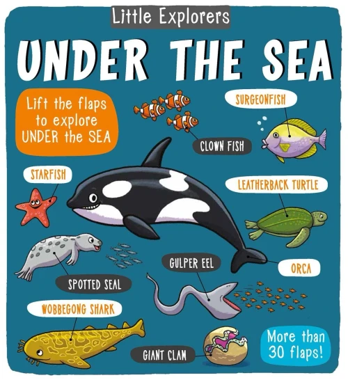 Little Explorers: Under the Sea