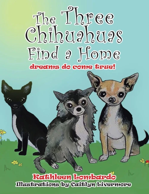 The Three Chihuahuas Find A Home