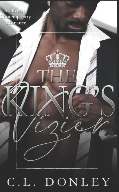 The King'S Vizier: A Diverse Contemporary Romance