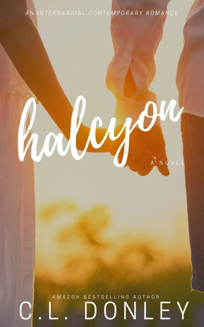Halcyon: An Interracial Contemporary Romance