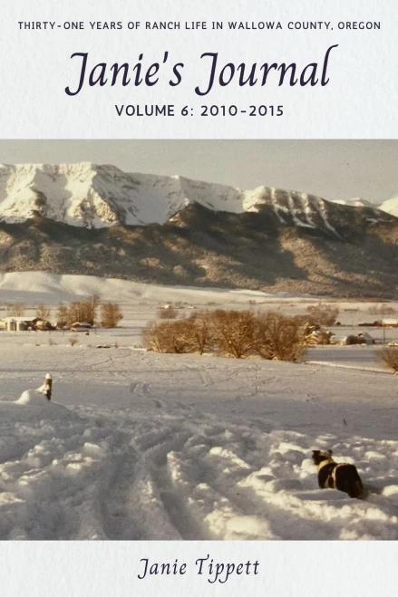Janie'S Journal, Volume 6: 2010-2015