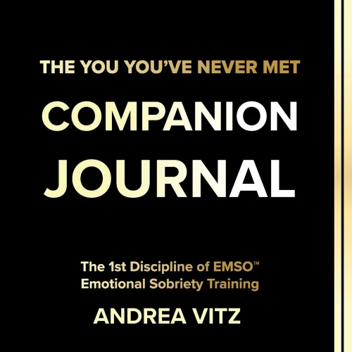The You You'Ve Never Met Companion Journal, Revised Edition