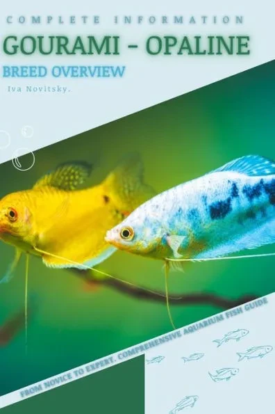 Gourami - Opaline: From Novice to Expert. Comprehensive Aquarium Fish Guide