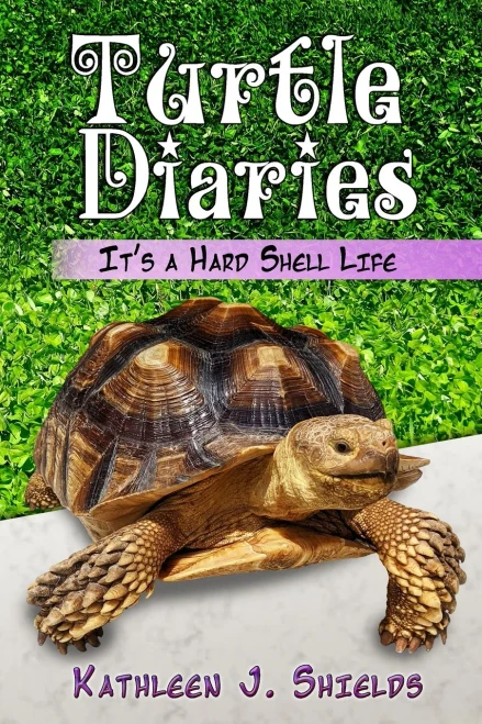 Turtle Diaries: It'S A Hard Shell Life