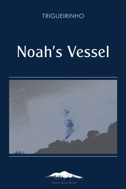 Noah'S Vessel