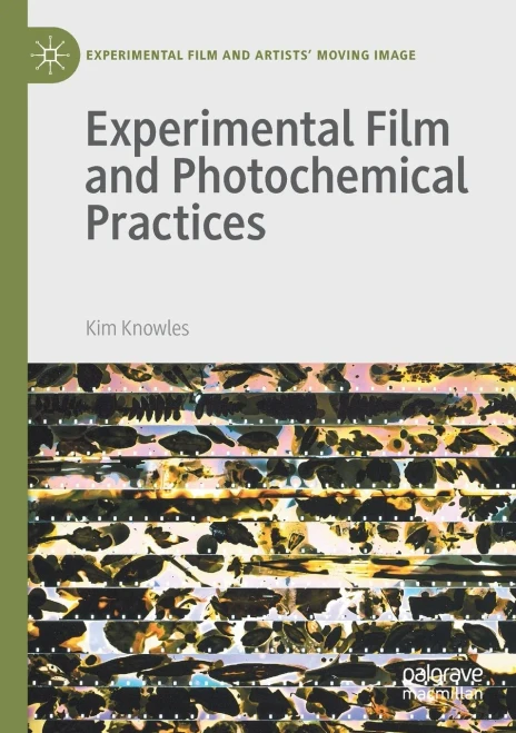 Experimental Film And Photochemical Practices (Experimental Film And Artists Moving Image)