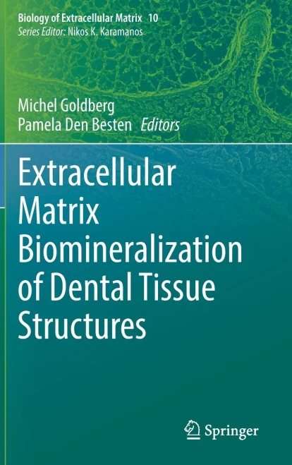 Extracellular Matrix Biomineralization Of Dental Tissue Structures (Biology Of Extracellular Matrix, 10)