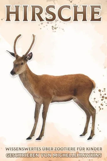 Hirsche: Wissenswertes Ã¼ber Zootiere fÃ¼r Kinder #26