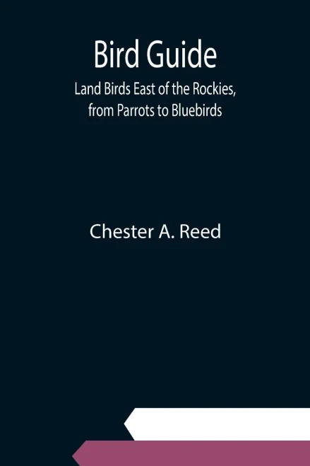 Bird Guide: Land Birds East Of The Rockies, From Parrots To Bluebirds