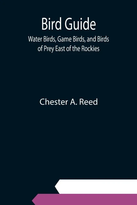 Bird Guide; Water Birds, Game Birds, And Birds Of Prey East Of The Rockies