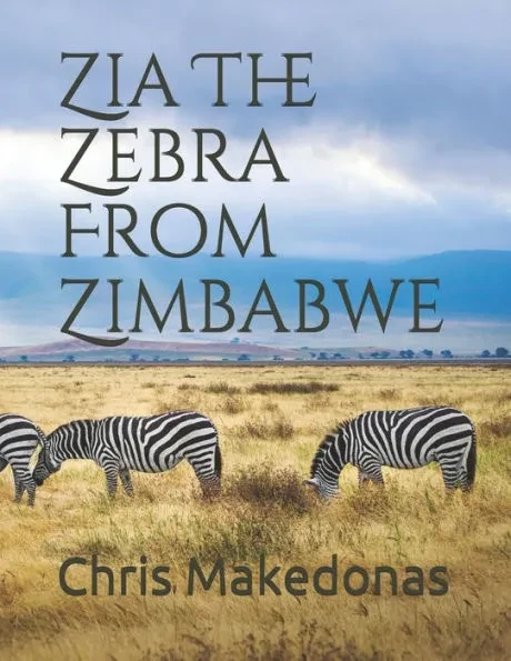 Zia The Zebra From Zimbabwe