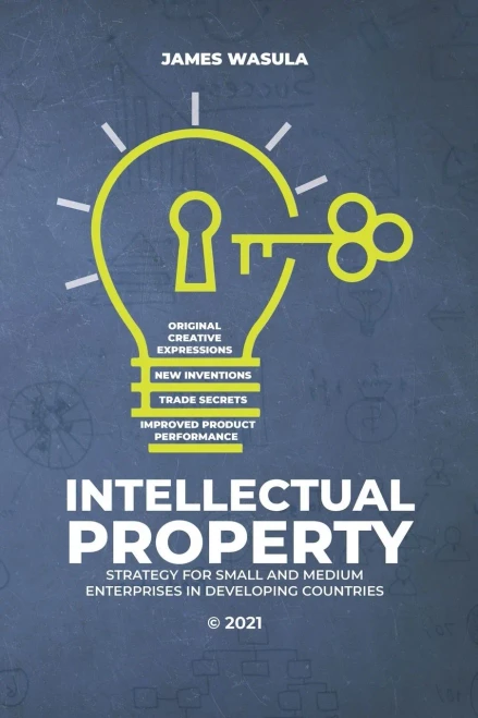 Intellectual Property: Strategy For Small And Medium Enterprises In Developing Countries