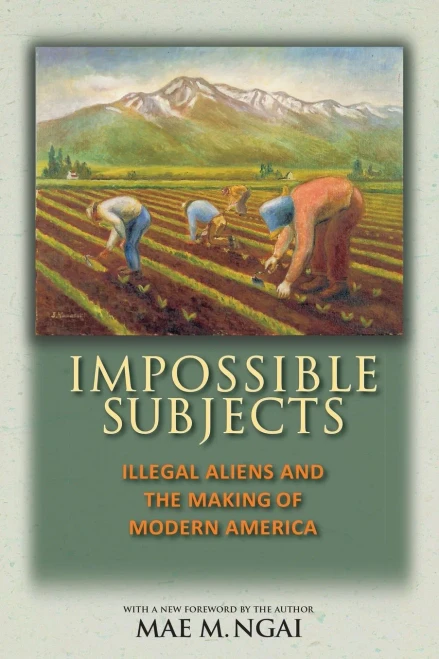 Impossible Subjects: Illegal Aliens and the Making of Modern America - Updated Edition (Politics and Society in Modern America)