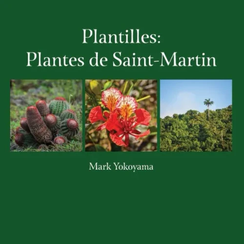 Plantilles: Plantes de Saint-Martin