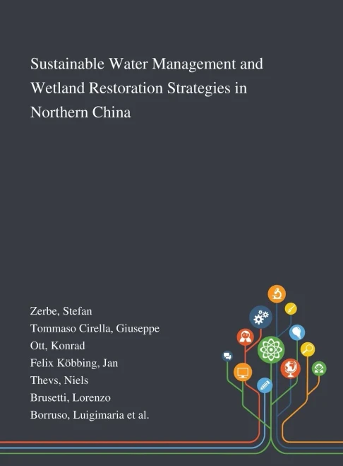 Sustainable Water Management and Wetland Restoration Strategies in Northern China - Hardcover