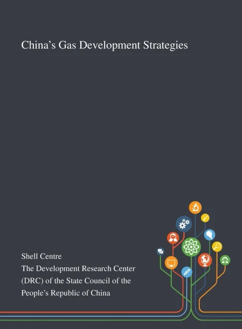 China's Gas Development Strategies - Hardcover