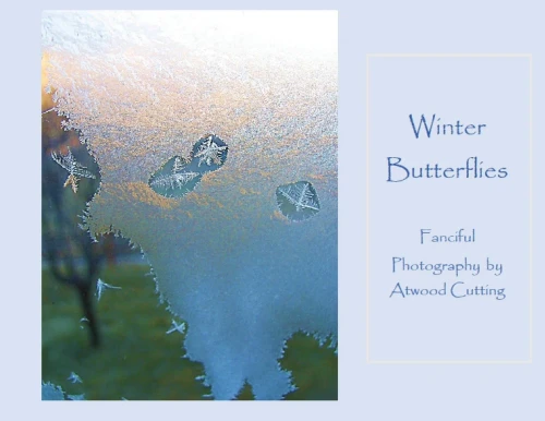 Winter Butterflies: Fanciful Photography by Atwood Cutting (Books Designed with Waiting in Mind)
