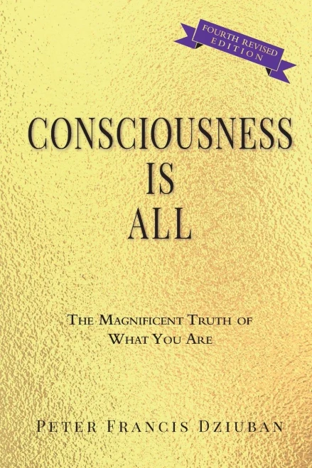 Consciousness Is All: The Magnificent Truth of What You Are - Paperback