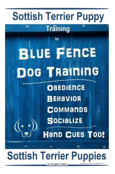 Scottish Terrier Puppy Training By Blue Fence Dog Training, Obedience - Behavior, Commands - Socialize, Hand Cues Too! Scottish Terrier Puppies