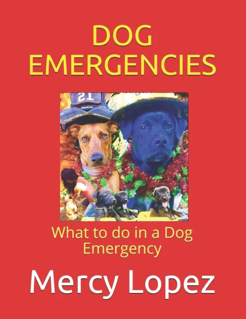 Dog Emergencies: What to do in a Dog Emergency (Everything Dogs)