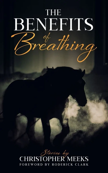 The Benefits of Breathing: and Other Stories - Hardcover