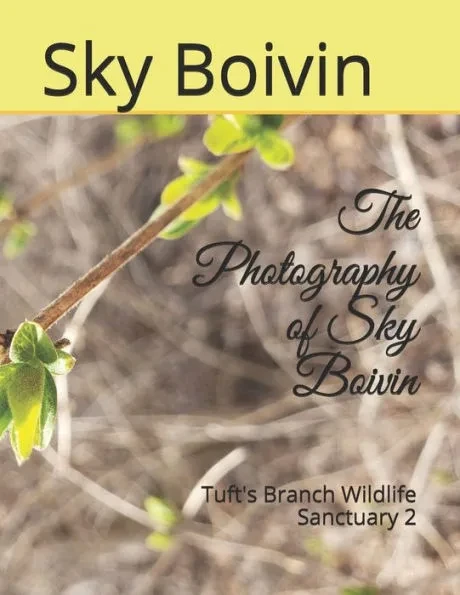 The Photography of Sky Boivin: Tuft's Branch Wildlife Sanctuary 2