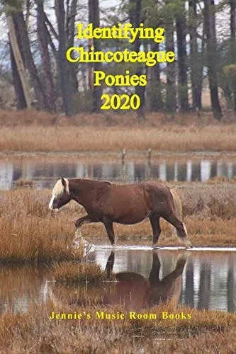 Identifying Chincoteague Ponies 2020