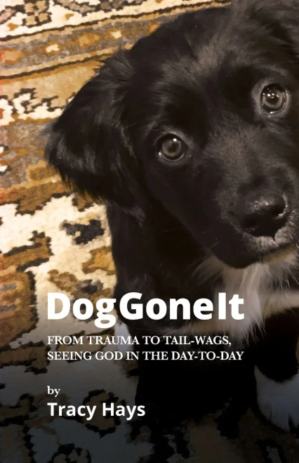 Dog Gone It: From Trauma to Tail-Wags, Seeing God in the Day-to-Day