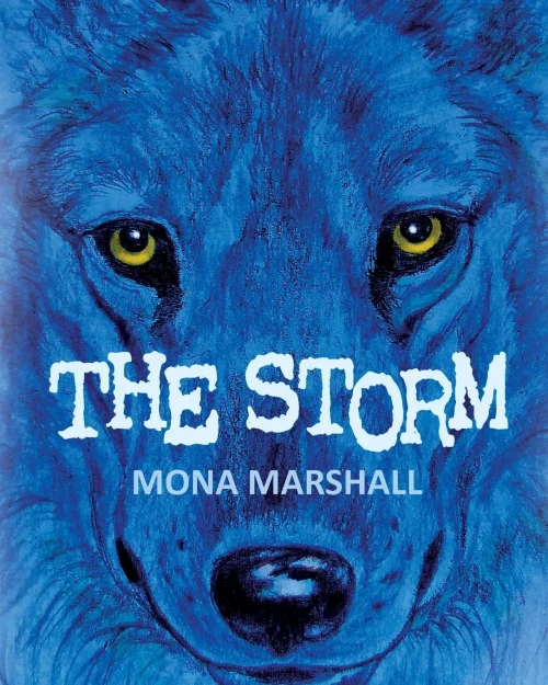 The Storm