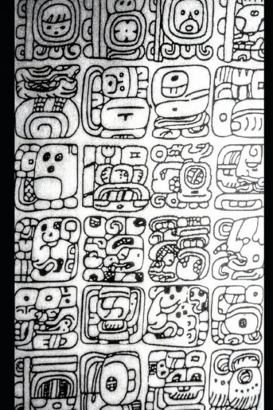 A Comparison of Four Mayan Languages: From MÃ©xico to Guatemala