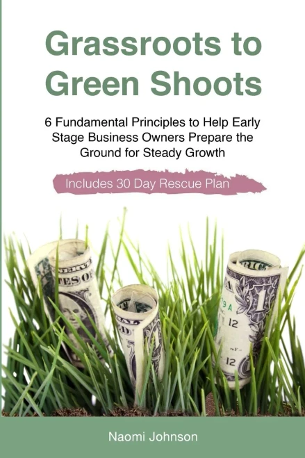 Grassroots to Green Shoots: 6 Fundamental Principles to Help Early Stage Business Owners Prepare the Ground for Steady Growth