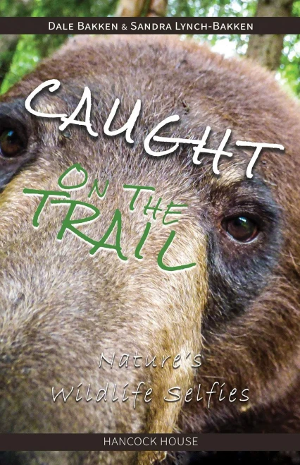 Caught on the Trail: Nature's Wildlife Selfies