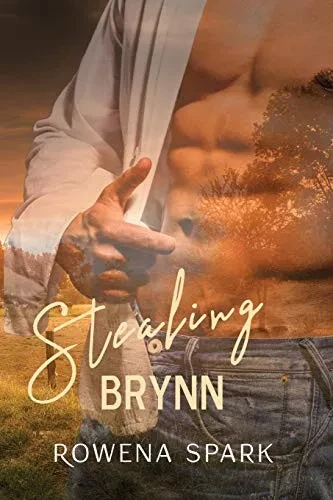 Stealing Brynn (Gypsy Heart) (BOOK1)