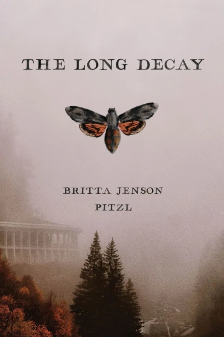 The Long Decay - Paperback