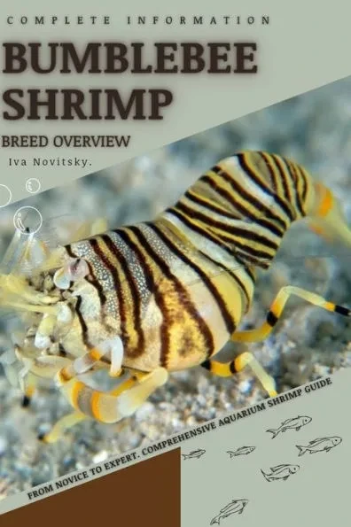 Bumblebee Shrimp: From Novice to Expert. Comprehensive Aquarium shrimp Guide