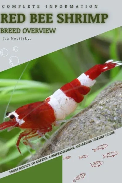 Red Bee Shrimp: From Novice to Expert. Comprehensive Aquarium shrimp Guide