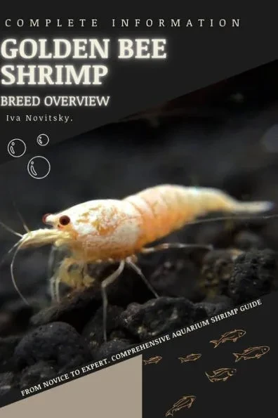 Golden Bee Shrimp: From Novice to Expert. Comprehensive Aquarium shrimp Guide