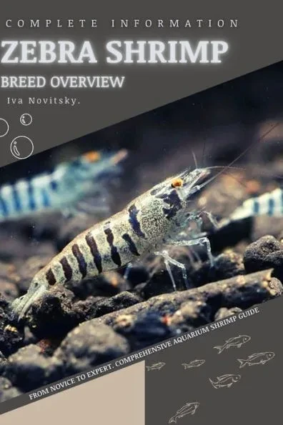 Zebra Shrimp: From Novice to Expert. Comprehensive Aquarium shrimp Guide