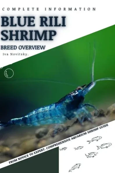 Blue Rili Shrimp: From Novice to Expert. Comprehensive Aquarium shrimp Guide