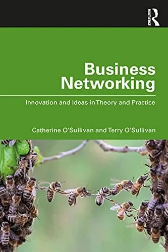 Business Networking: Innovation and Ideas in Theory and Practice - Paperback