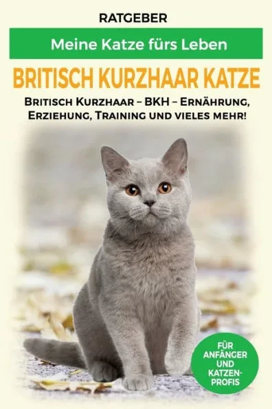 Britisch Kurzhaar Katze: Britisch Kurzhaar Katze Ratgeber - BKH Katze - Erziehung, Ernährung und Pflege