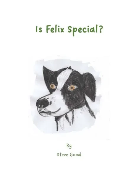Is Felix Special?