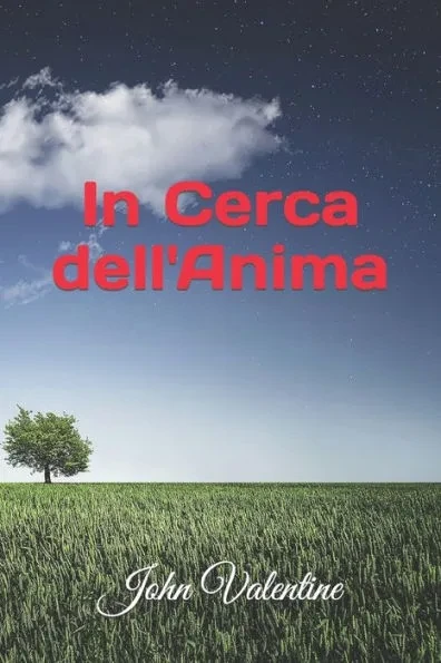 In Cerca dell'Anima: Una Ricerca Spirituale sulla Reincarnazione