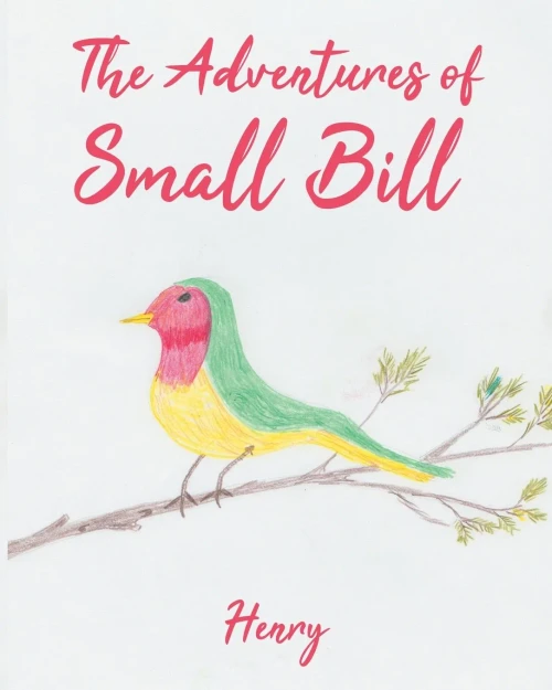 The Adventures of Small Bill: Whistle (1) - Paperback